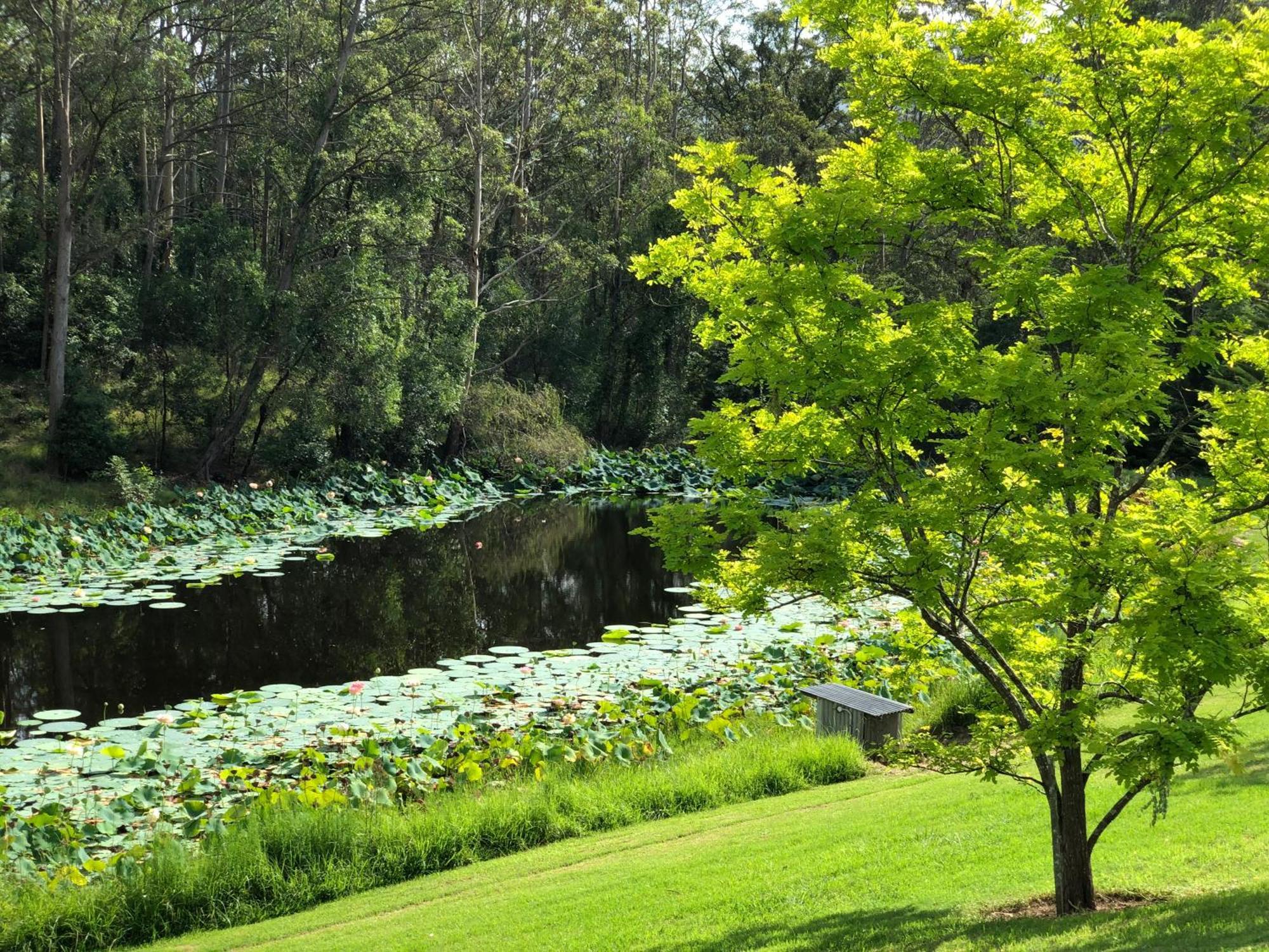 Garden Hill Sandstone Villas: Shoalhaven Nsw Australia Camberwarra Zewnętrze zdjęcie