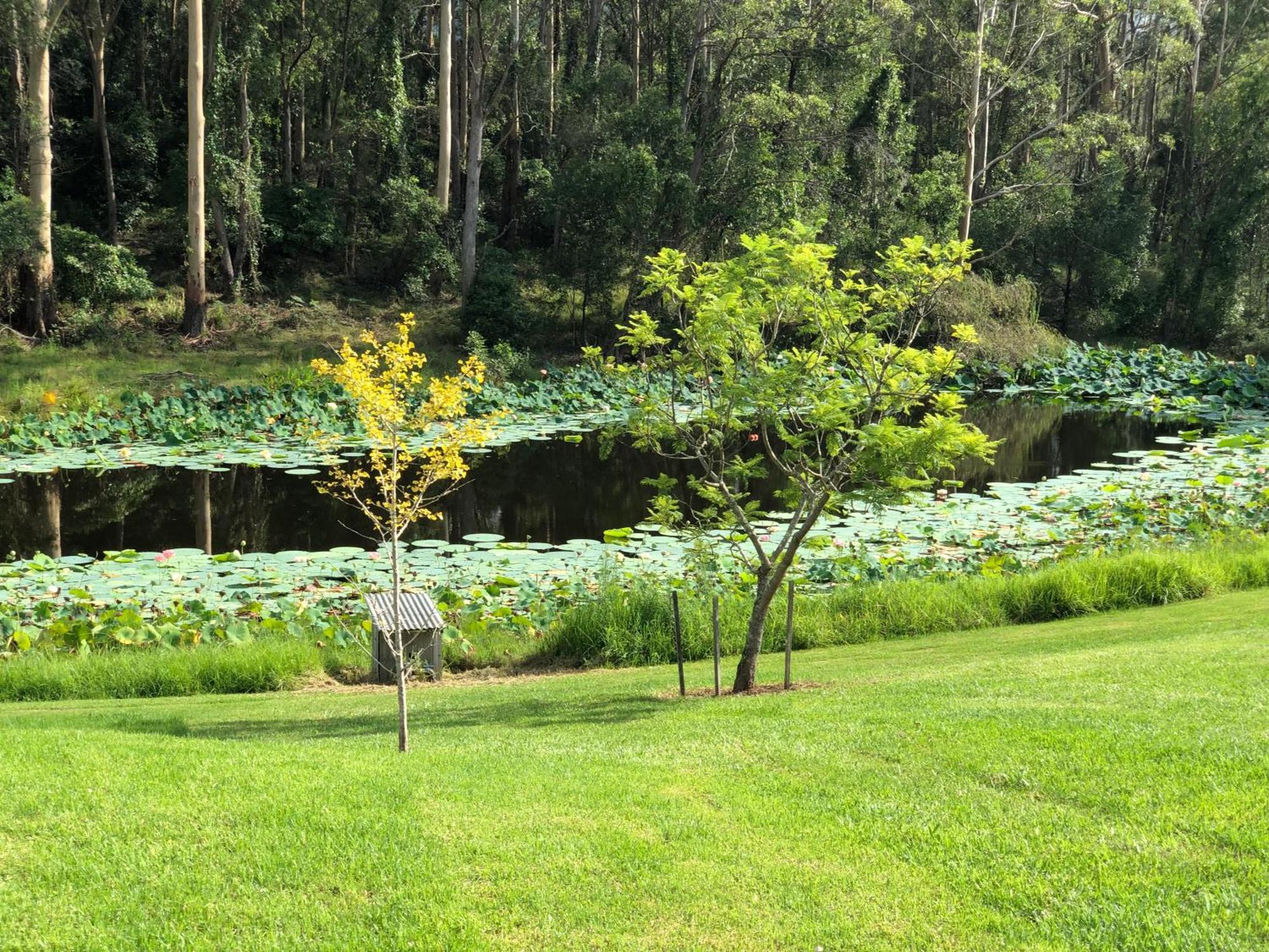 Garden Hill Sandstone Villas: Shoalhaven Nsw Australia Camberwarra Zewnętrze zdjęcie